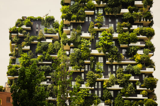 Sustainable Urban Living: A Blueprint for the Future of Our Cities