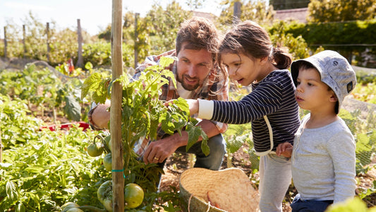 5 practical ways to introduce sustainable living to children