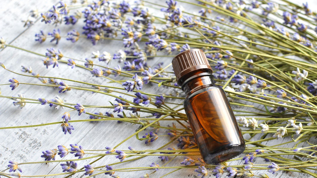 5 reasons why essential oils are ideal as a natural fragrance