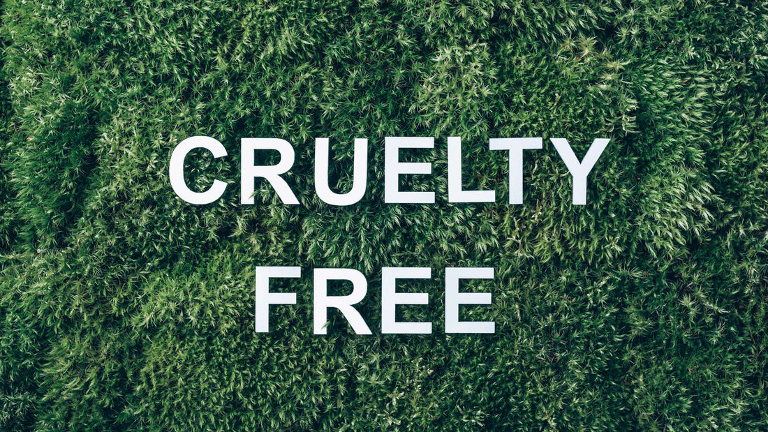 Why choosing cruelty-free cleaning products is important
