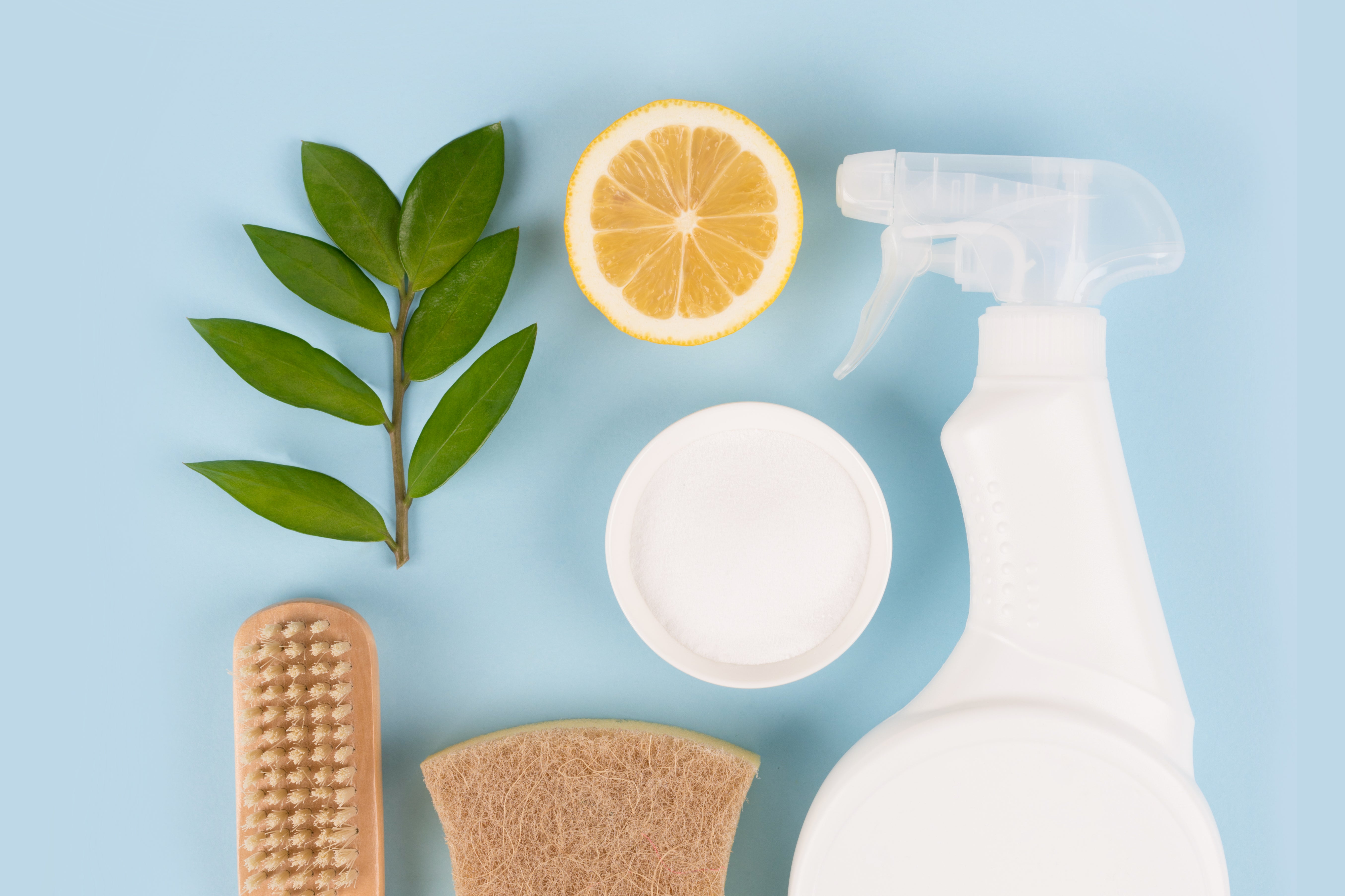 10 Natural Cleaning Products You Need in Your Home – Bower Collective