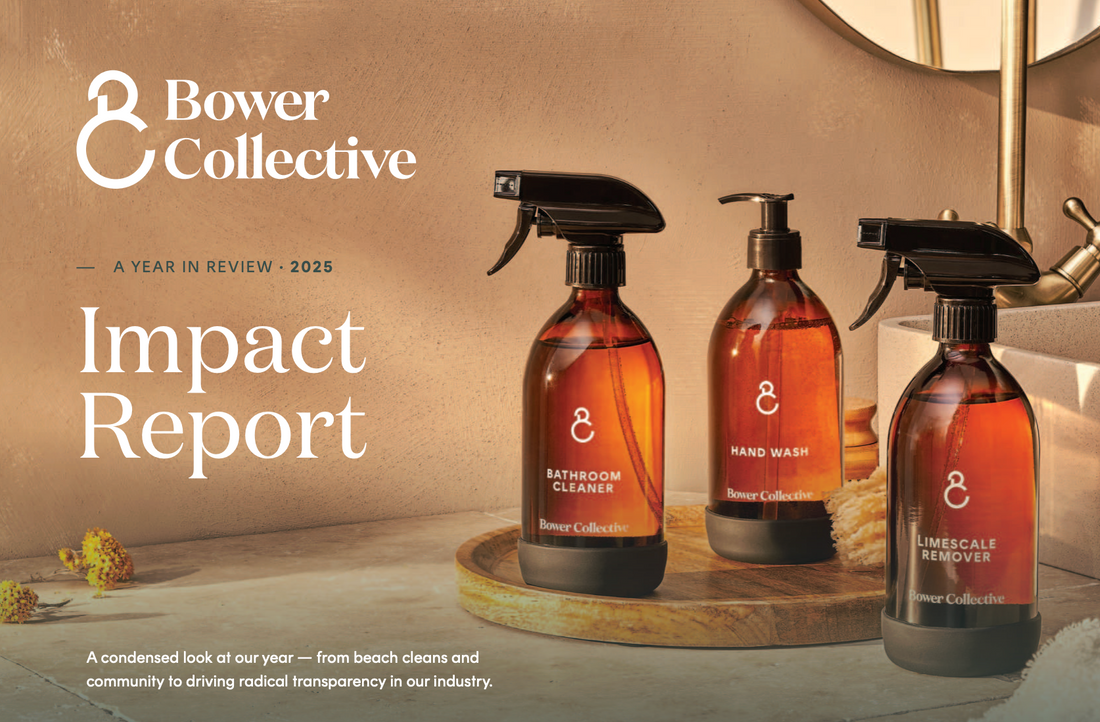 Impact Report 2025