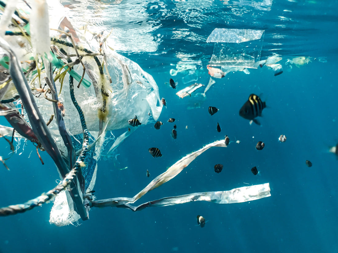 Top 5 ocean plastic polluters
