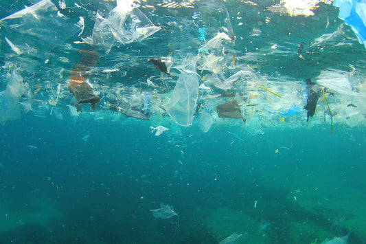 The Truth About Plastic: Why Plastic is Bad for the Environment?
