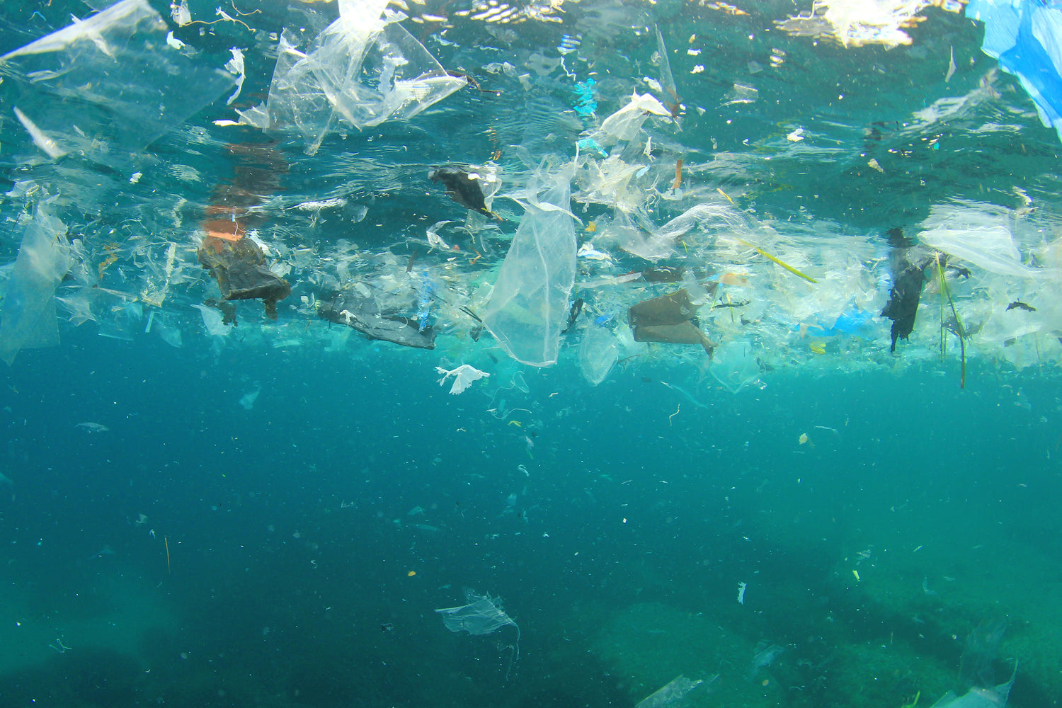 Why is Plastic Bad for the Environment? Bower Collective