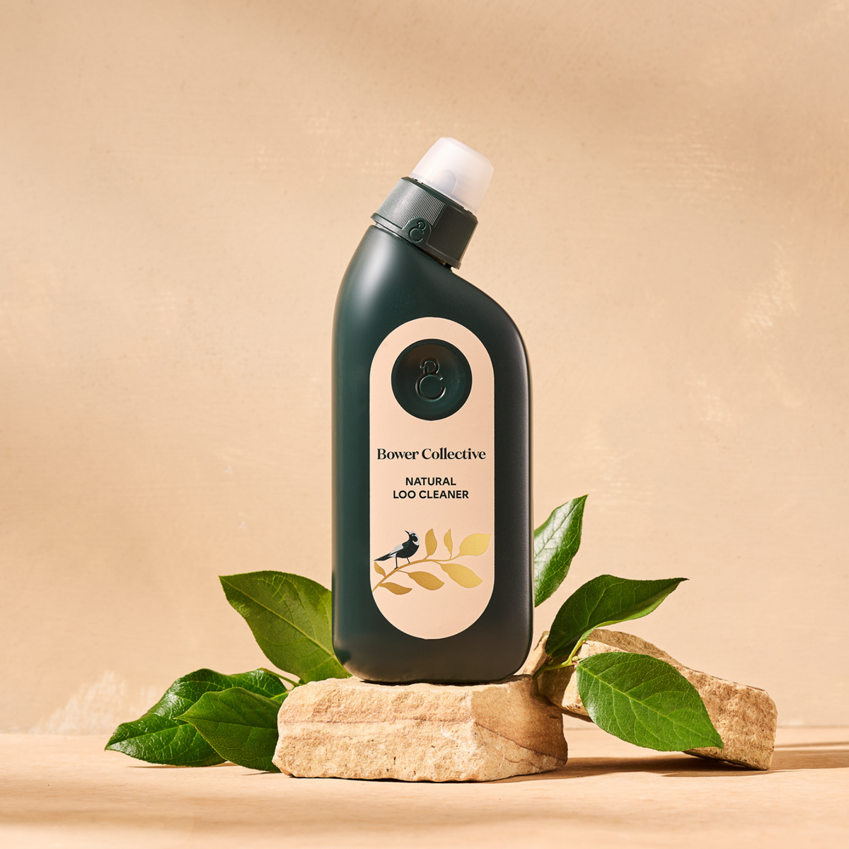 Reusable Dispenser Bottle Loo Cleaner